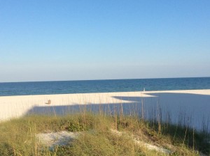 Fun, Interesting, Weird Facts About Florida For Tourists – Travel 